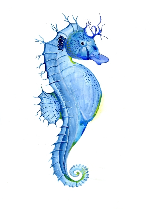 Seahorse water color by Janet Plantinga